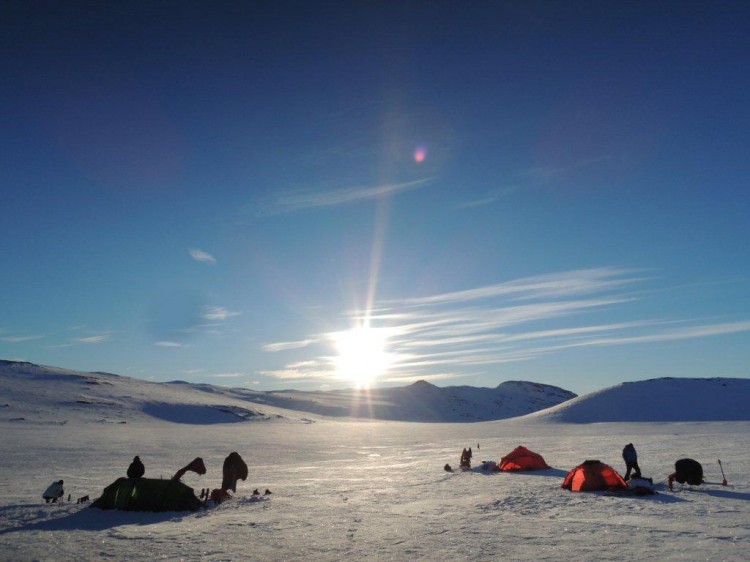 Hardangervidda Wintertour