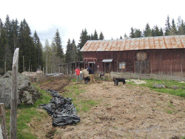 Wildnispädagogik Kompakt Kurs in Schweden und Allgäu