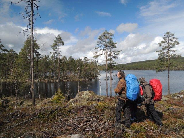Wildnispädagogik Kompakt Kurs in Schweden und Allgäu